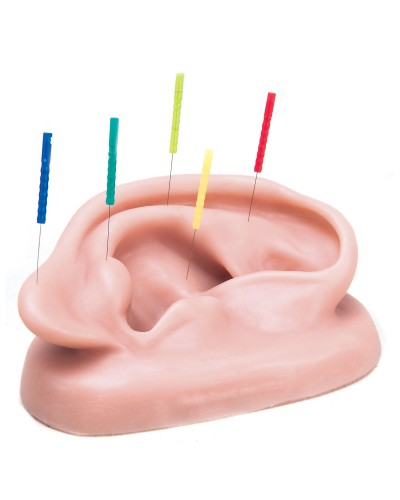 Acupuncture Ear, right